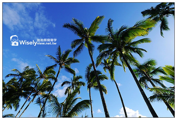 夏威夷旅游, 美洲旅游, 巴西旅游, 美国旅游, 加拿