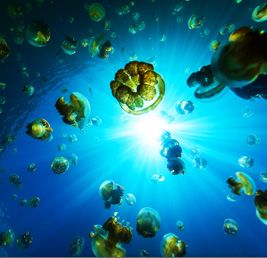 旋旅行社(巨匠旅游),欧洲旅游,东欧旅游,西欧旅